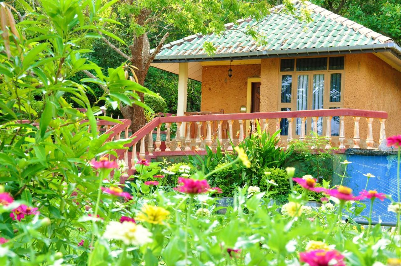 Kodigahawewa Forest Resort Tissamaharama Exterior foto
